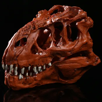 Тираннозавр Rex model uređenje smole Тираннозавр Rex 15.5*8.5*11.5 pogledajte uzorke lubanje dinosaura